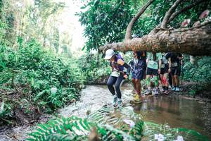 BIB: 
                            <button type="button" onclick="openModal(25472105)" class="btn btn-primary btn-sm float-right btn-popup" data-toggle="modal" data-target=".modal-high-quality">
                        <i class="fas fa-shopping-cart"></i> Add to Cart
                    </button>
                                            <button type="button" onclick="isThisMe(25472105, true)" class="btn btn-success btn-sm float-right btn-popup btn-isme hidden" data-toggle="tooltip" data-placement="bottom" title="นี่คือรูปของคุณใช่ไหม คลิกที่นี่เพื่อเอาเข้าอัลบั้ม">
                        <i class="fas fa-plus"></i> Add to album
                    </button>
                    <button type="button" onclick="isThisMe(25472105, false)" class="btn btn-warning btn-sm float-right btn-popup btn-isnotme hidden">
                        <i class="fas fa-ban"></i> Remove from album
                    </button>